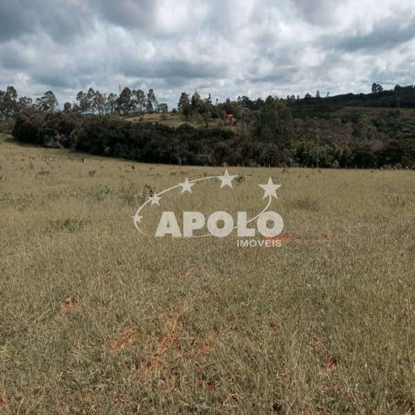 apolo-imobiliaria-lavras-venda-sitio-15