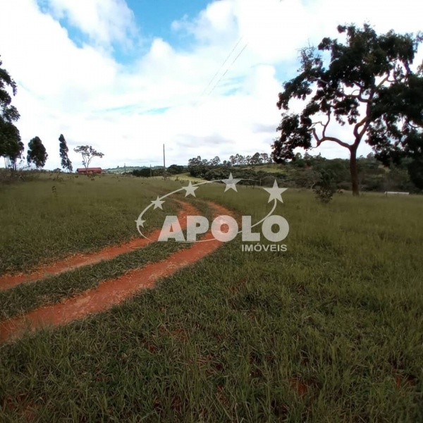 apolo-imobiliaria-lavras-venda-sitio-4